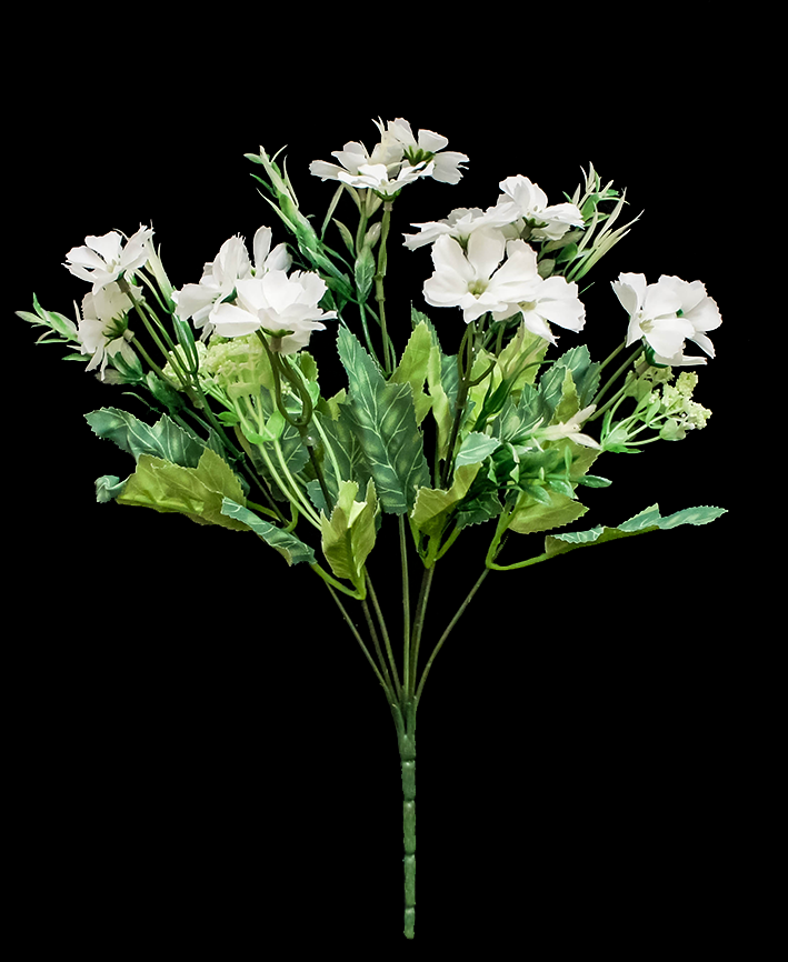 R205109 RAMO ROSAL DAISY 35 CMS