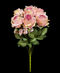 R205202 RAMO GRANDE ROSA X7 50 CM