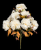 R205203 RAMO GRANDE CLAVEL  X 11 VARAS  50 CM
