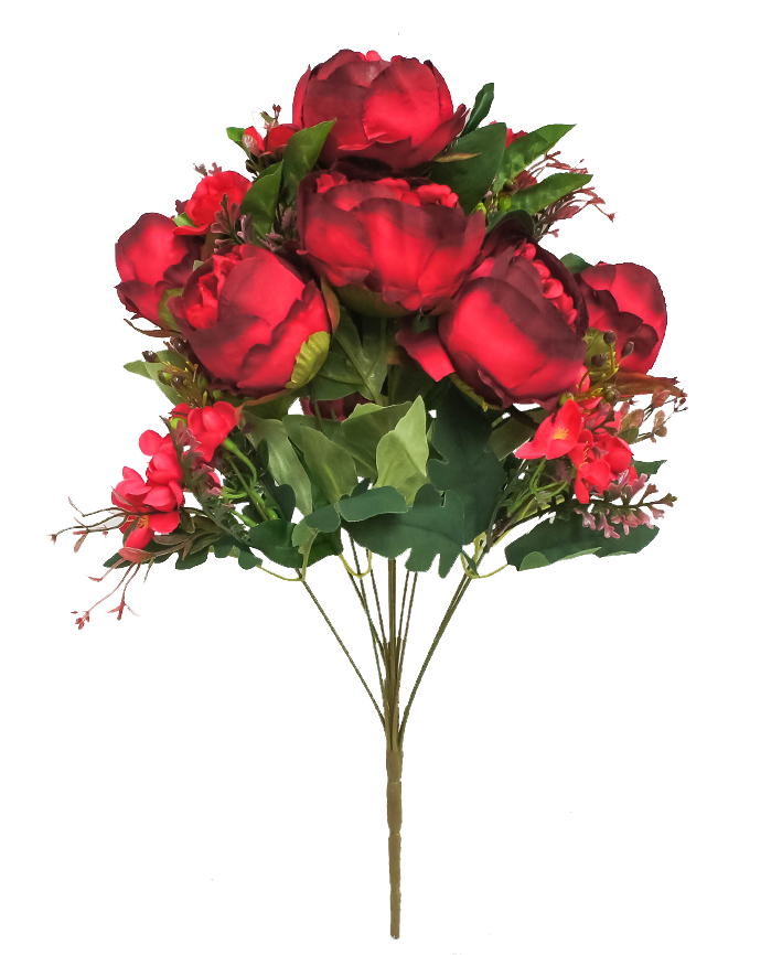 R205204 RAMO GRANDE PEONY X11 50 CMS
