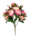 R205204 RAMO GRANDE PEONY X11 50 CMS