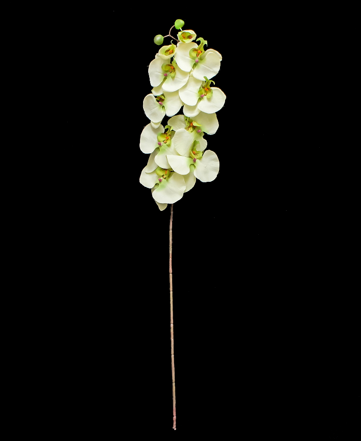 R206001-1 VARA ORQUIDEA X10 100CM