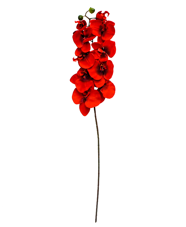 R206001-1 VARA ORQUIDEA X10 100CM
