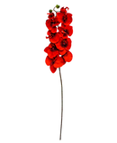 R206001-1 VARA ORQUIDEA X10 100CM