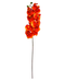 R206001-1 VARA ORQUIDEA X10 100CM