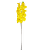 R206001-1 VARA ORQUIDEA X10 100CM