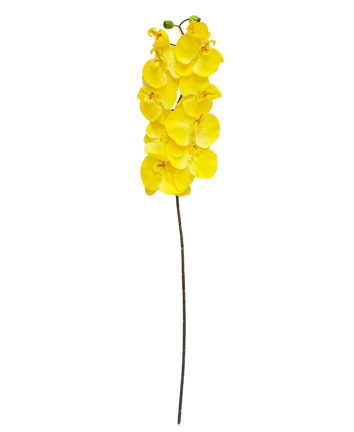 R206001-1 VARA ORQUIDEA X10 100CM