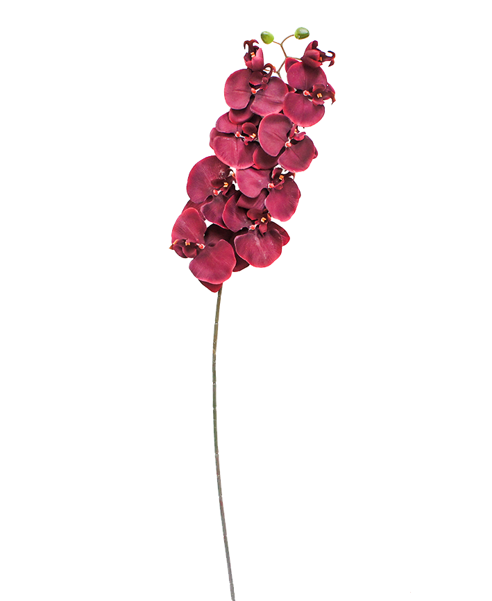 R206001-1 VARA ORQUIDEA X10 100CM