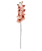 R206001-1 VARA ORQUIDEA X10 100CM