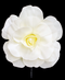 R210002 FLOR GIGANTE 45 CMS FOAM