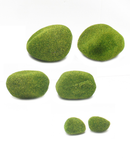 R216007 MUSGO PIEDRAS PAQ C/6PZAS