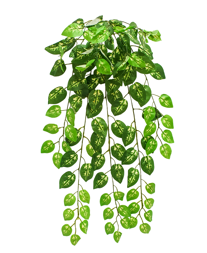 R217007 FOLLAJE HOJAS PINTAS 95 CMS