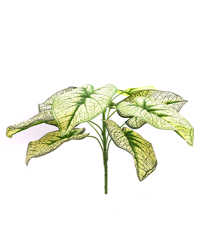 R217017 FOLLAJE HOJAS CALADIUM AMARILLO X9 37 CM