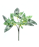 R217015 FOLLAJE HOJAS CALADIUM BLANCO X27 37 CM