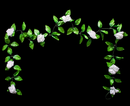 R218303 GUIA FLOR ROSAS 2.40 MT