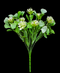 R221103 FOLLAJE  SUCULENTA 30 CMS