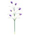 R222001 VARA TULIPAN CON 6 VARAS