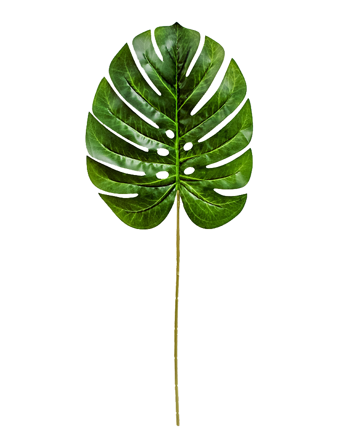 R224003 FOLLAJE HOJA PHILO PZA 60 CM