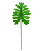 R224004 FOLLAJE HOJA FELIZ PZA 70 CM