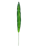 R224005 FOLLAJE HOJA LENGUA PZA 80 CM