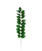 R224006 FOLLAJE HOJA ZAMIIFOLIA 50 CM