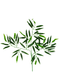 R224007 FOLLAJE HOJA BAMBU 60 CM