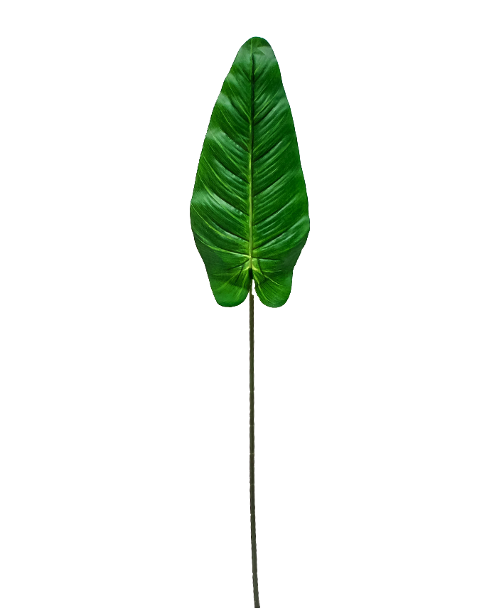 R224009 FOLLAJE HOJA AVE PARAISO 75 CM