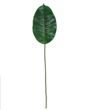 R224010 FOLLAJE HOJA HULE 70 CM