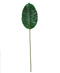 R224010 FOLLAJE HOJA HULE 70 CM