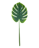 R224011 HOJA MONSTERA 1M