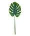 R224011 HOJA MONSTERA 1M