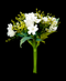 R225014 BOUQUET EUCALIPTO CEREZO 33CM