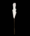 R226001 FOLLAJE COLA DE ZORRO 100 CM