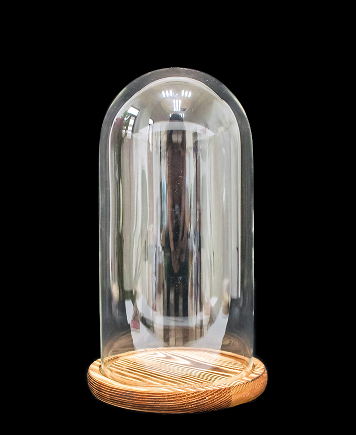 R304013 VIDRIO CUPULA  CON BASE 12X25CMS