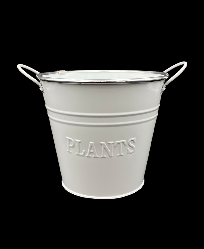 R306023 BASE MET PLANTS BLANCA 15 X 16 CM