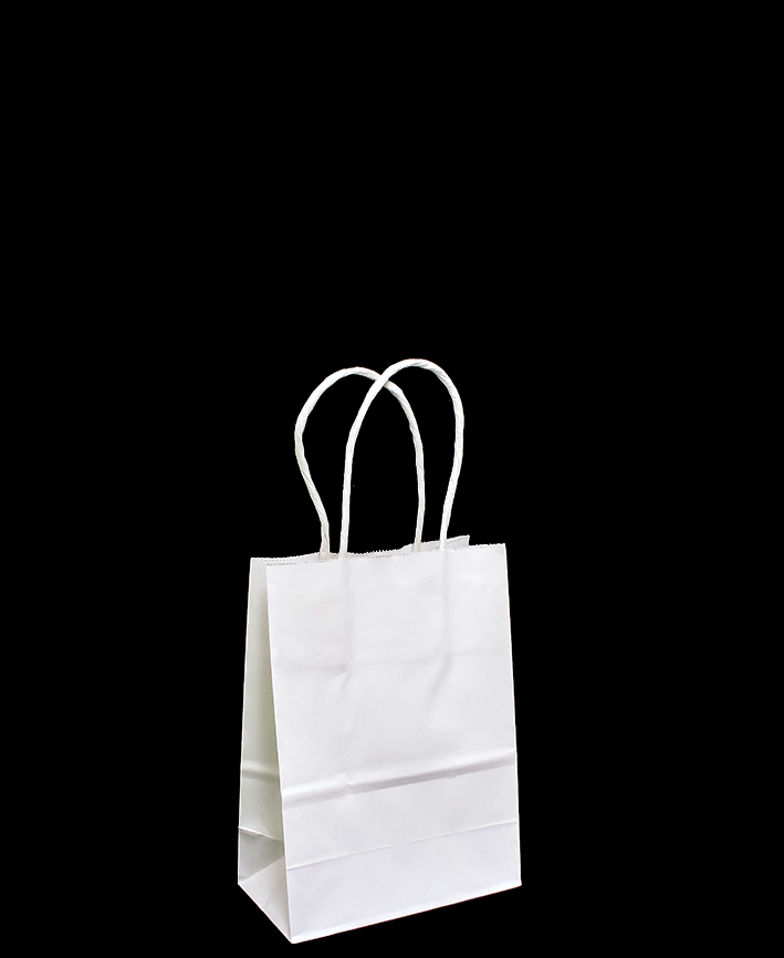 R418001 BOLSA DE PAPEL CON ASA  11 X 15 CM 6 PZAS