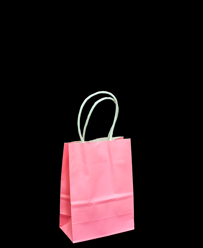 R418001 BOLSA DE PAPEL CON ASA  11 X 15 CM 6 PZAS