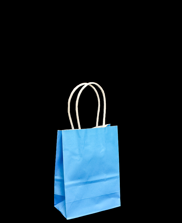 R418001 BOLSA DE PAPEL CON ASA  11 X 15 CM 6 PZAS