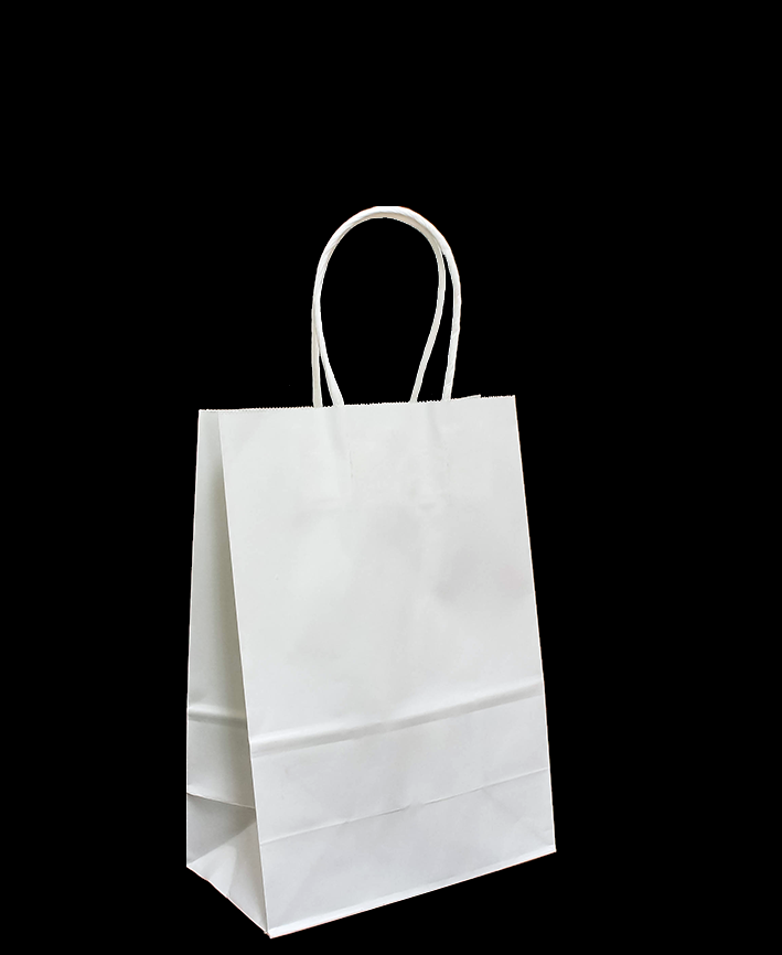R418002 BOLSA DE PAPEL CON ASA  15 X 21 CM 5 PZAS