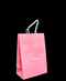 R418002 BOLSA DE PAPEL CON ASA  15 X 21 CM 5 PZAS