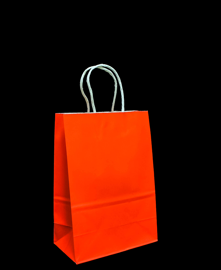 R418002 BOLSA DE PAPEL CON ASA  15 X 21 CM 5 PZAS