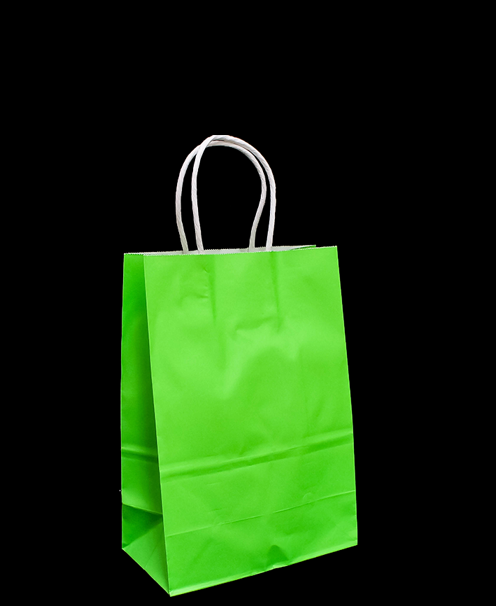 R418002 BOLSA DE PAPEL CON ASA  15 X 21 CM 5 PZAS