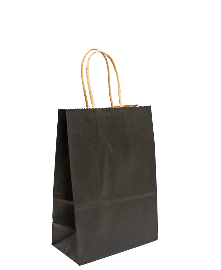 R418002 BOLSA DE PAPEL CON ASA  15 X 21 CM 5 PZAS