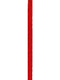 R603008-1/8 LISTON SATIN LISO 50 YARDAS