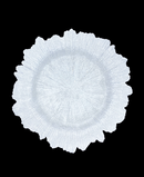 R733005-1 BAJO PLATO VIDRIO CORAL 33 CMS