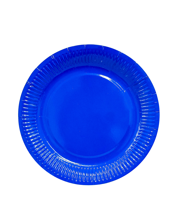 R906006 PLATO LISO GRANDE 23 CMS 10 PZAS