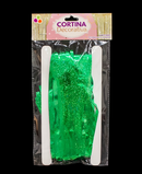 R912009-1 CORTINA HOLOGRAFICO 1 X 2 M