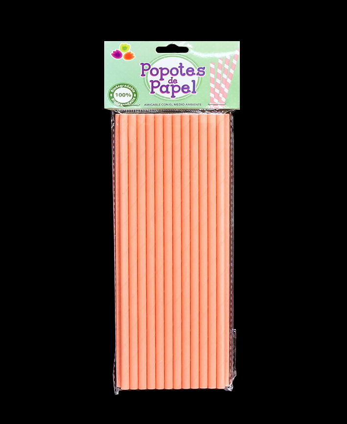 R914001 POPOTE DE PAPEL 25 PZAS MATE
